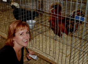 chicken #2